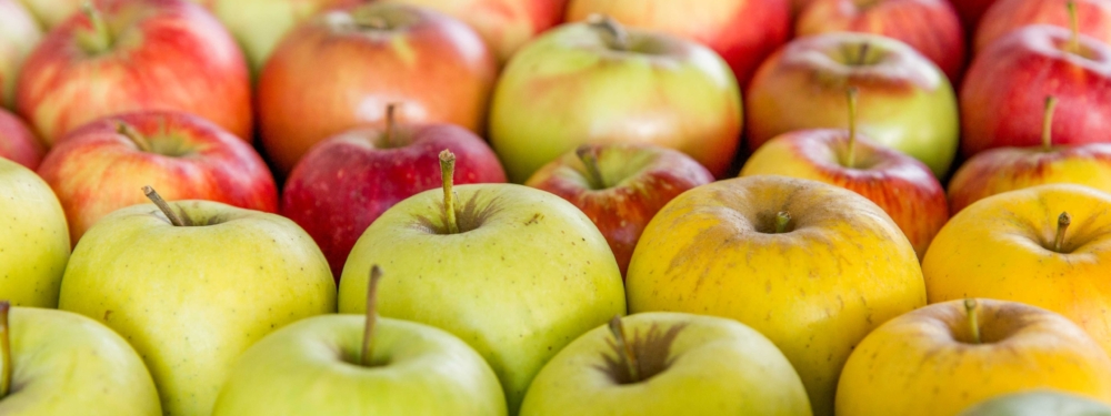 Bio-Äpfel.