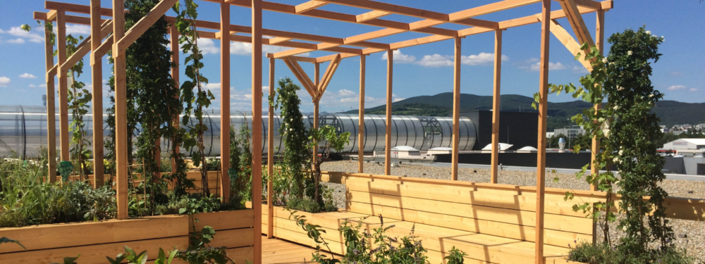 Bänke und Beete aus Holz auf der Dachterrasse.