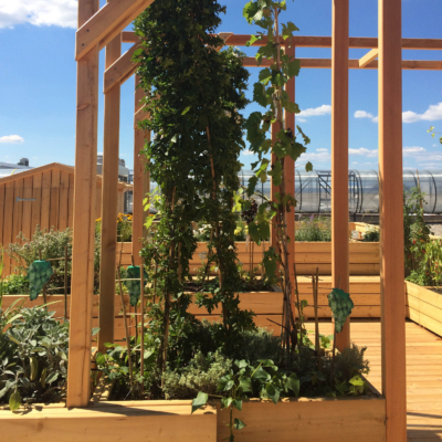 Ein Gartenbeet auf einer Terrasse.