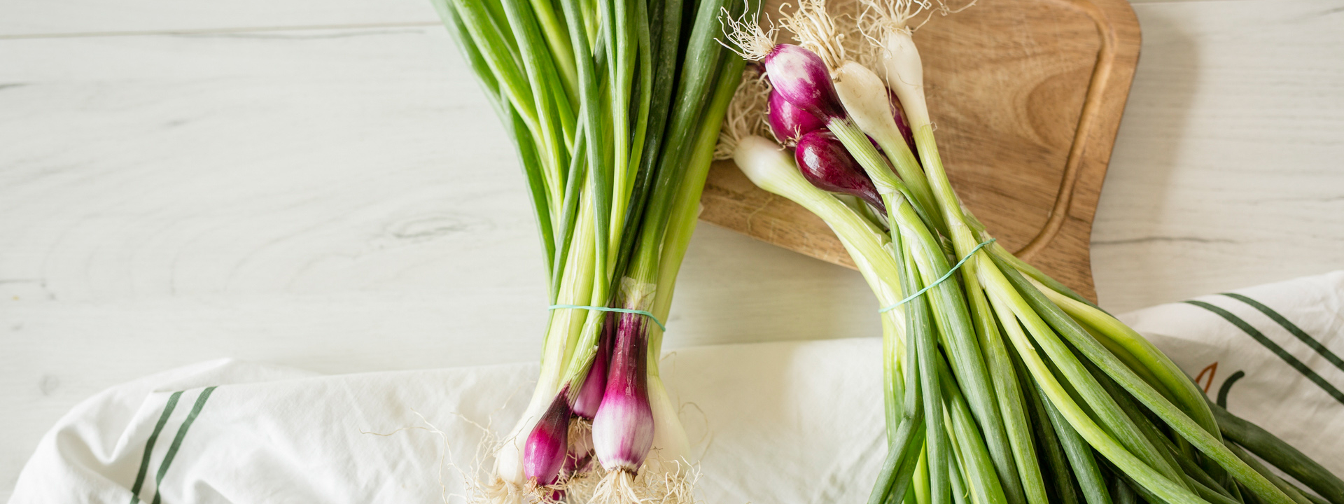 Bunde von Bio-Jungzwiebel.