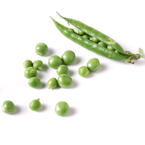Bio-Erbsen.