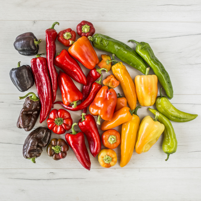 Bio-Paprikararitäten in allen Farben: Die Sorten im Überblick