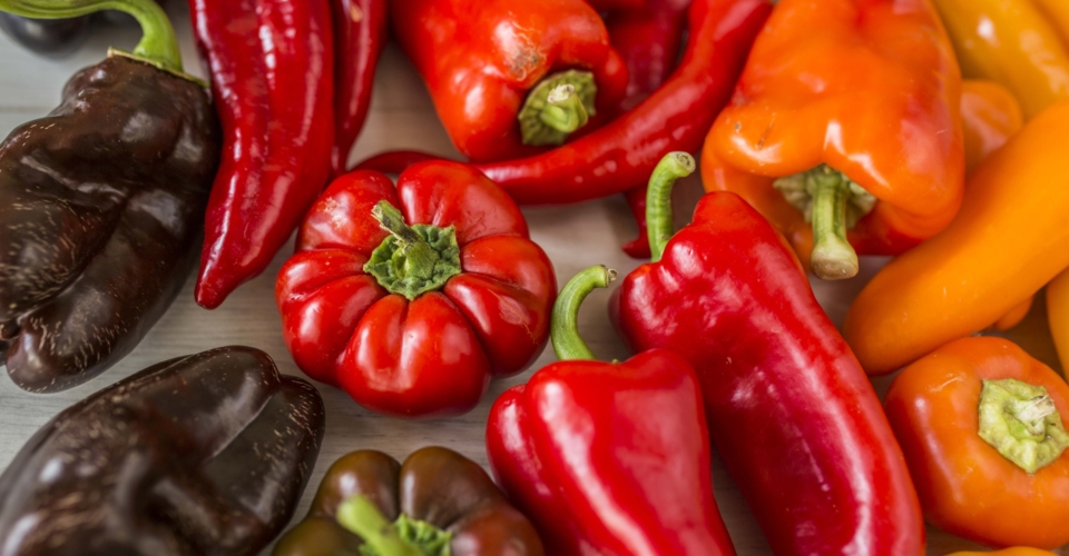 Paprika – Sonnenkinder mit südamerikanischen Wurzeln