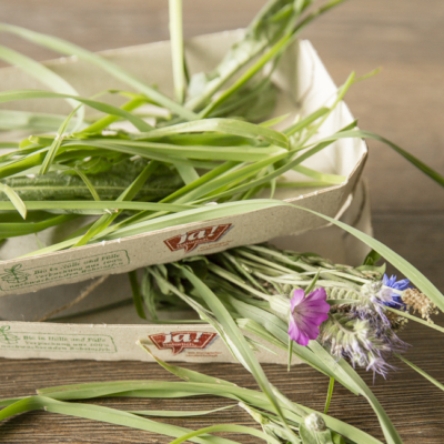 In einem kleinen Karton sind Ja! Natürlich Bio-Blüten.