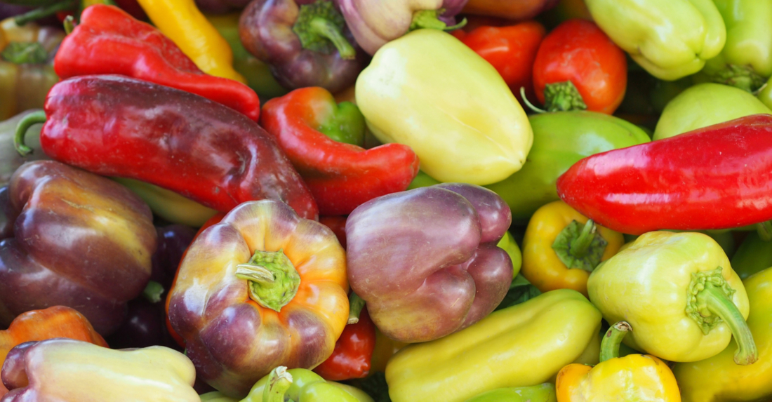 Bio-Paprika, Pfefferoni & Chili anbauen