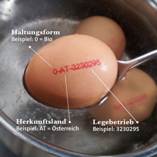 Braunes Ei mit Codes für Haltungsform.